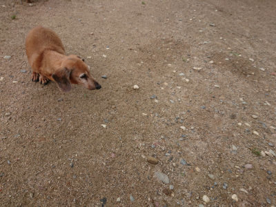 f:id:roukenhome-ann:20190611190946j:plain