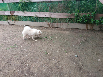 f:id:roukenhome-ann:20190611191002j:plain