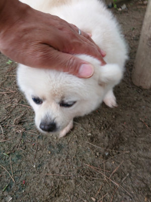 f:id:roukenhome-ann:20190611191008j:plain