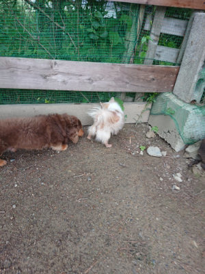 f:id:roukenhome-ann:20190611191019j:plain