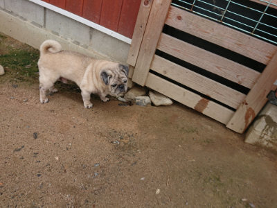 f:id:roukenhome-ann:20190611191024j:plain