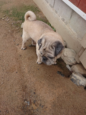 f:id:roukenhome-ann:20190611191029j:plain