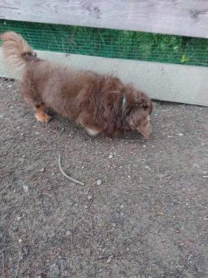 f:id:roukenhome-ann:20190611191033j:plain