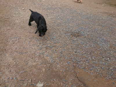 f:id:roukenhome-ann:20190611191044j:plain