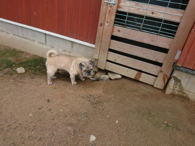 f:id:roukenhome-ann:20190611191050j:plain