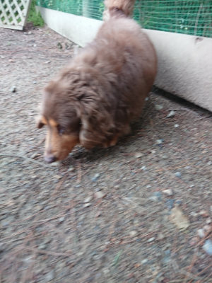 f:id:roukenhome-ann:20190611191057j:plain