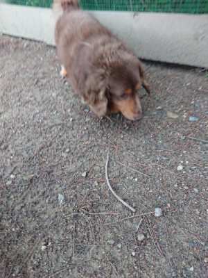 f:id:roukenhome-ann:20190611191101j:plain