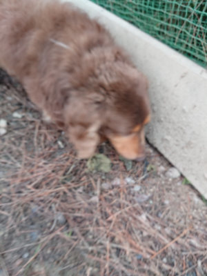 f:id:roukenhome-ann:20190611191117j:plain