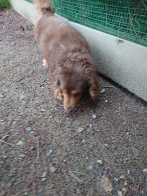 f:id:roukenhome-ann:20190611191122j:plain