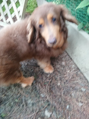 f:id:roukenhome-ann:20190611191140j:plain