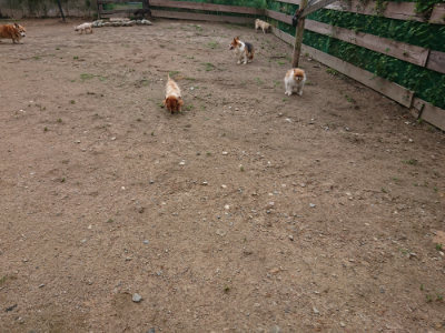 f:id:roukenhome-ann:20190611191146j:plain