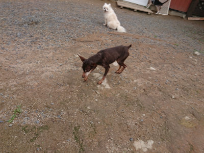 f:id:roukenhome-ann:20190611191153j:plain