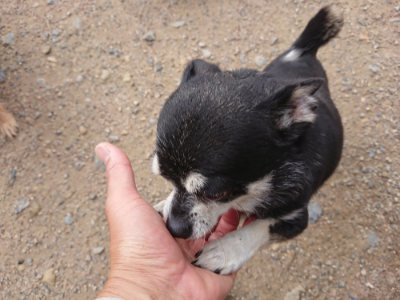 f:id:roukenhome-ann:20190611191159j:plain