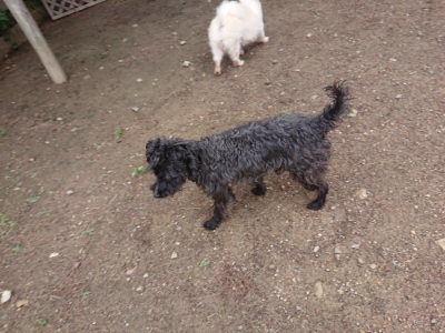 f:id:roukenhome-ann:20190611191210j:plain