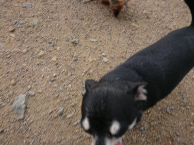 f:id:roukenhome-ann:20190611191215j:plain