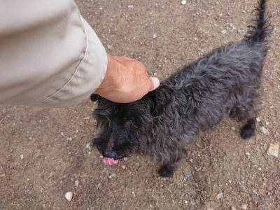 f:id:roukenhome-ann:20190611191226j:plain