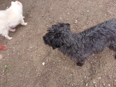 f:id:roukenhome-ann:20190611191232j:plain