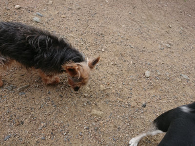 f:id:roukenhome-ann:20190611191238j:plain