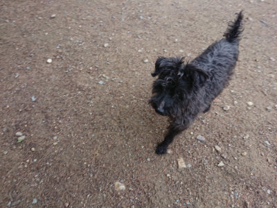 f:id:roukenhome-ann:20190611191243j:plain