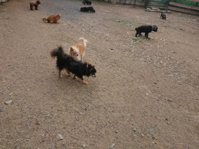 f:id:roukenhome-ann:20190611191254j:plain