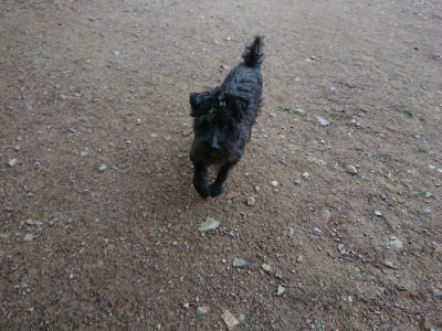 f:id:roukenhome-ann:20190611191306j:plain