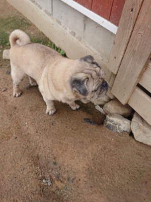 f:id:roukenhome-ann:20190611191412j:plain