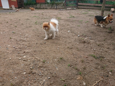 f:id:roukenhome-ann:20190611191418j:plain