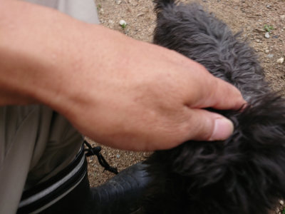 f:id:roukenhome-ann:20190611191423j:plain