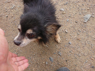 f:id:roukenhome-ann:20190611191428j:plain