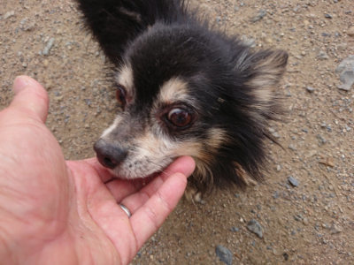 f:id:roukenhome-ann:20190611191434j:plain