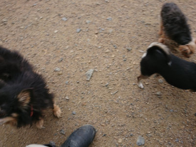 f:id:roukenhome-ann:20190611191451j:plain