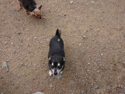 f:id:roukenhome-ann:20190611191526j:plain