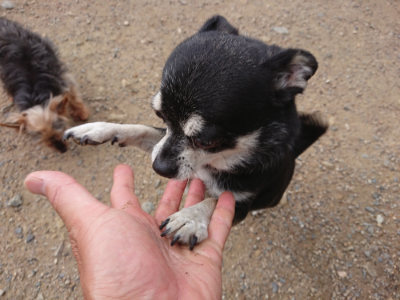 f:id:roukenhome-ann:20190611191549j:plain