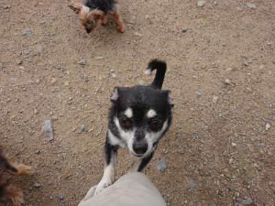 f:id:roukenhome-ann:20190611191554j:plain