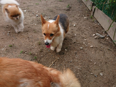 f:id:roukenhome-ann:20190611191559j:plain