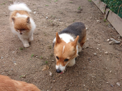 f:id:roukenhome-ann:20190611191604j:plain