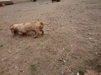 f:id:roukenhome-ann:20190611191610j:plain