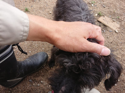 f:id:roukenhome-ann:20190611191630j:plain