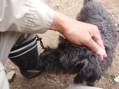 f:id:roukenhome-ann:20190611191636j:plain