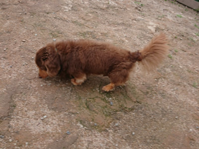 f:id:roukenhome-ann:20190611191657j:plain