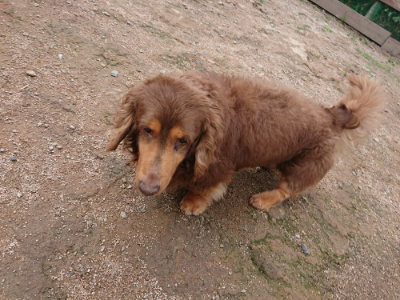 f:id:roukenhome-ann:20190611191704j:plain