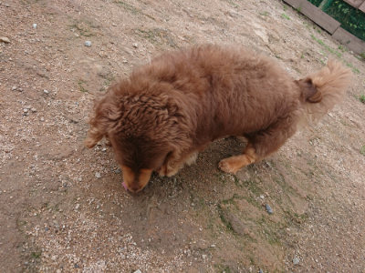 f:id:roukenhome-ann:20190611191713j:plain