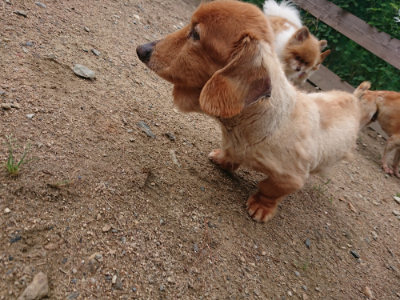 f:id:roukenhome-ann:20190611191718j:plain