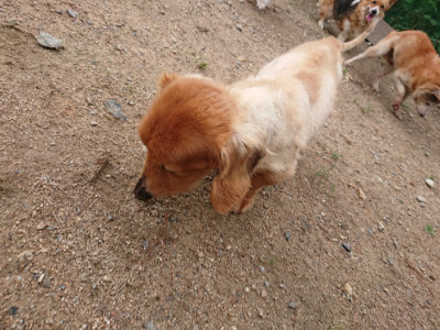 f:id:roukenhome-ann:20190611191740j:plain