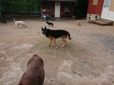 f:id:roukenhome-ann:20190611192315j:plain f:id:roukenhome-ann:20190611192315j:plain