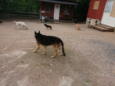 f:id:roukenhome-ann:20190611192320j:plain f:id:roukenhome-ann:20190611192320j:plain