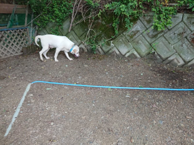 f:id:roukenhome-ann:20190611192532j:plain f:id:roukenhome-ann:20190611192532j:plain