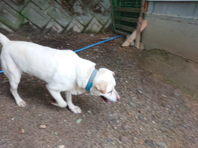 f:id:roukenhome-ann:20190611192541j:plain f:id:roukenhome-ann:20190611192541j:plain
