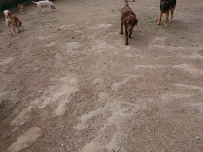 f:id:roukenhome-ann:20190611192646j:plain f:id:roukenhome-ann:20190611192646j:plain