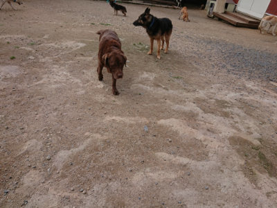f:id:roukenhome-ann:20190611192842j:plain f:id:roukenhome-ann:20190611192842j:plain